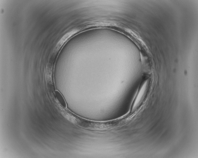 X0000087421273200705111907