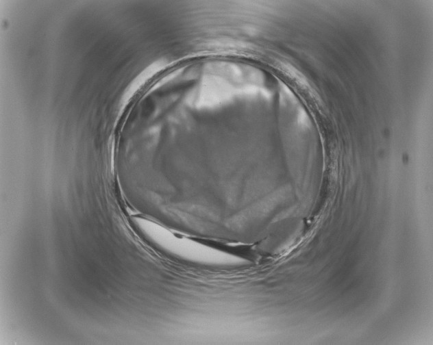 X0000087421275200705111907