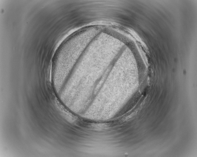X0000087421276200705111907