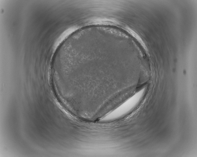X0000087421277200705111907
