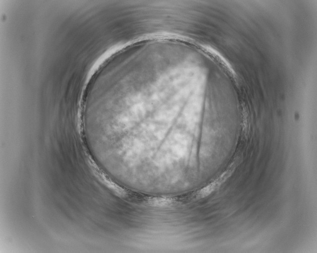 X0000087421278200705111907