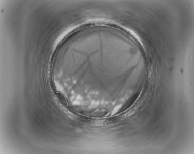 X0000087421279200705111907