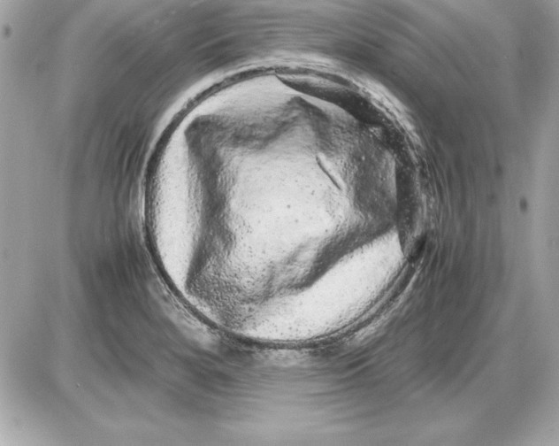 X0000087421280200705111907
