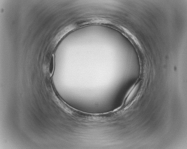 X0000087421281200705111907