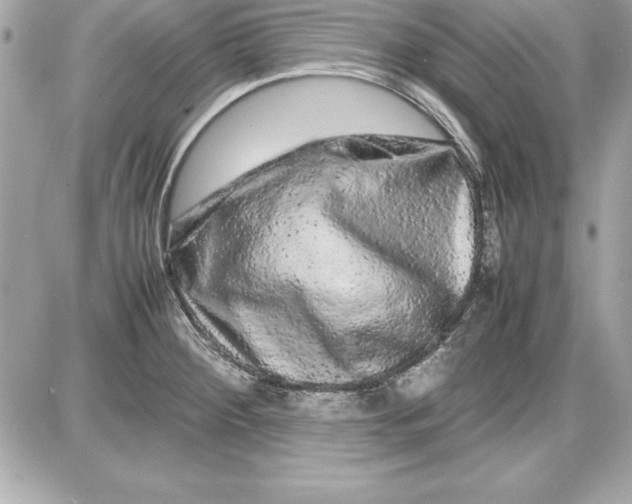 X0000087421284200705111907