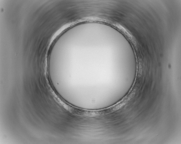 X0000087421286200705111907