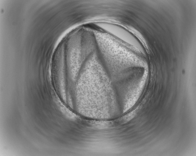 X0000087421288200705111907