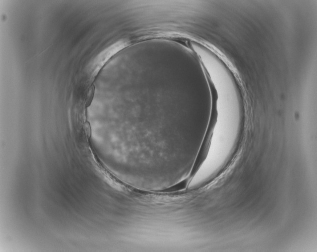 X0000087421289200705111907