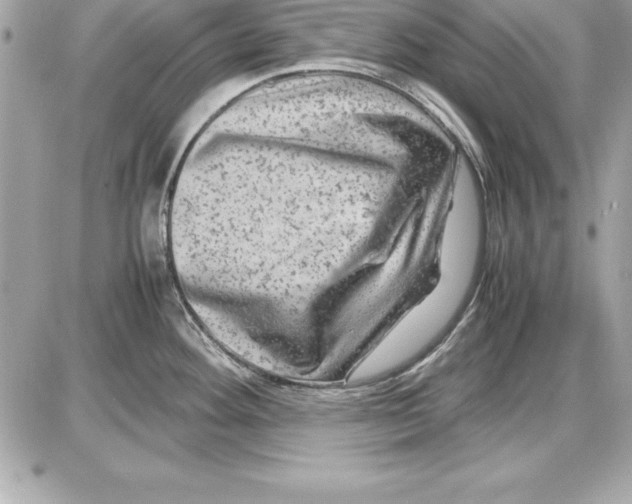 X0000087421292200705111907