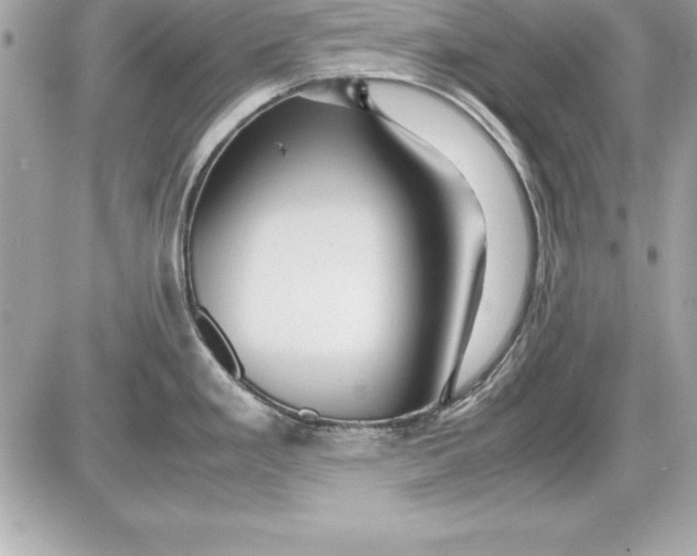 X0000087421293200705111907