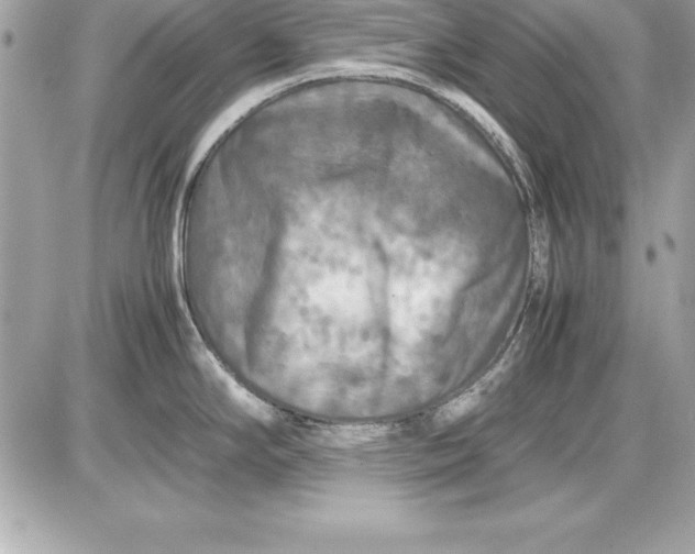 X0000087421294200705111907