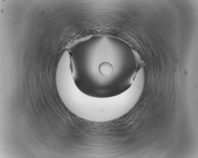 X0000087421298200705111906