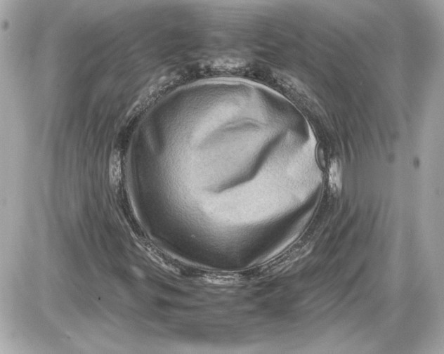 X0000087421299200705111906