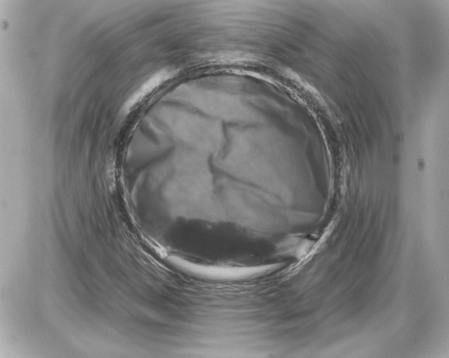 X0000087421306200705111906