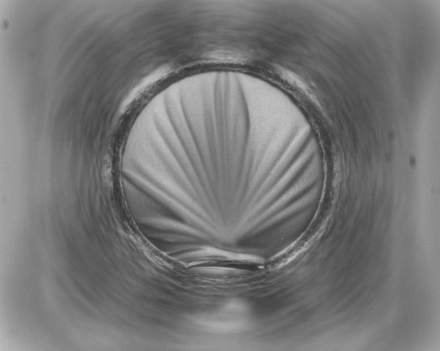 X0000087421307200705111906