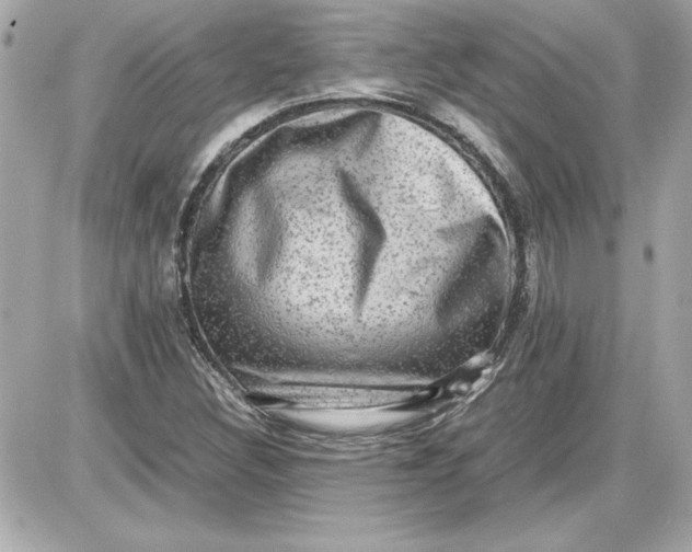 X0000087421308200705111906
