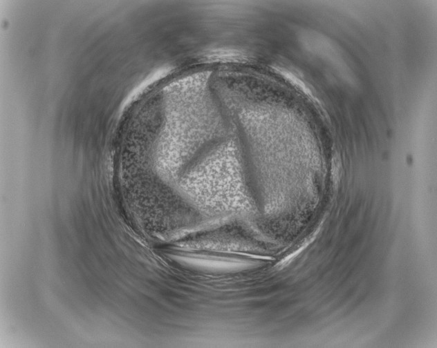X0000087421309200705111906