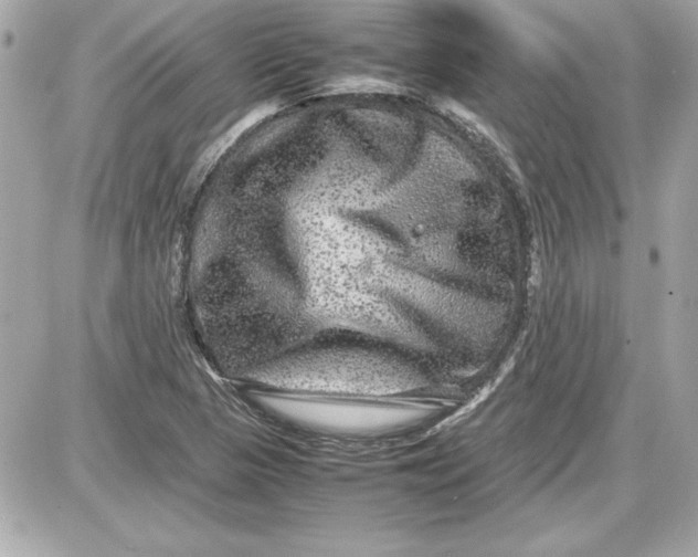 X0000087421313200705111906