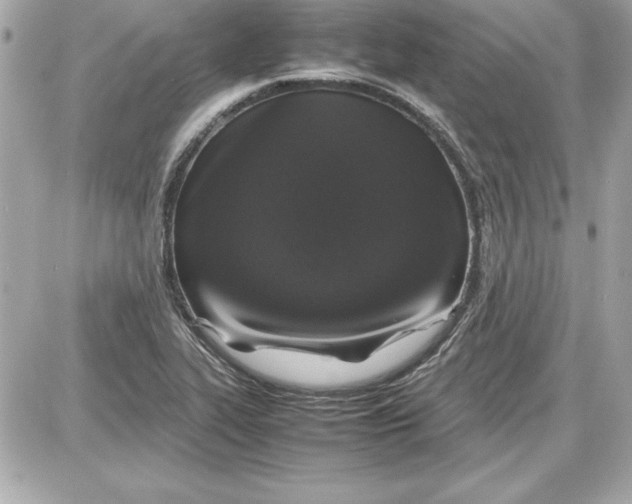 X0000087421319200705111906