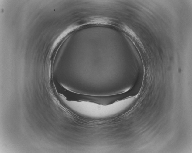 X0000087421323200705111906
