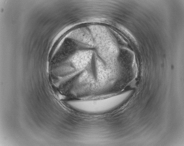 X0000087421324200705111906