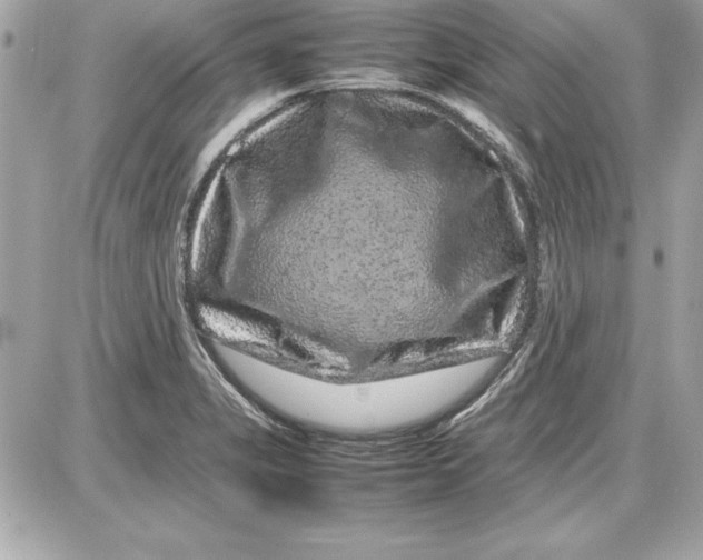X0000087421325200705111906