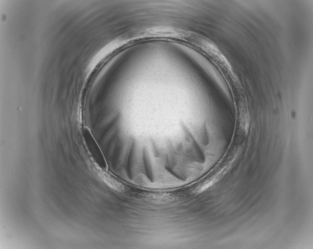 X0000087421328200705111906
