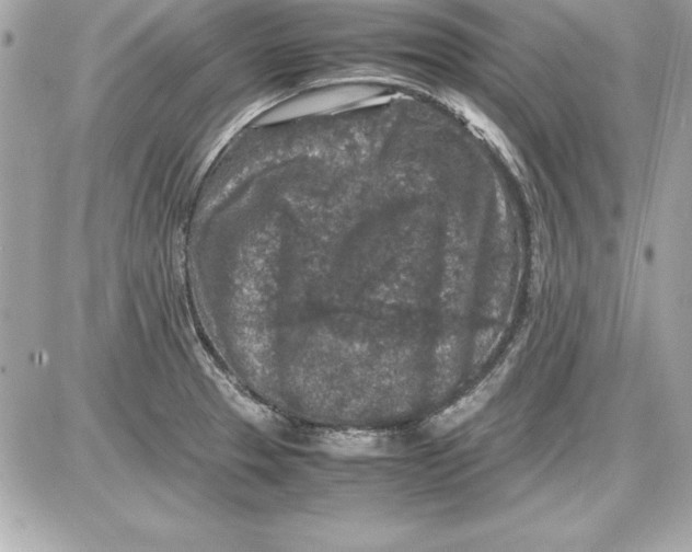 X0000087421329200705111906