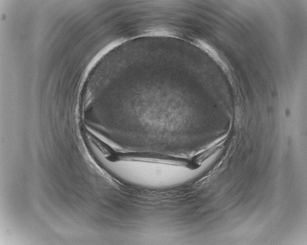 X0000087421331200705111906