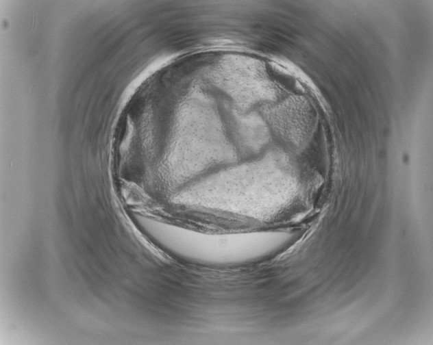 X0000087421333200705111906
