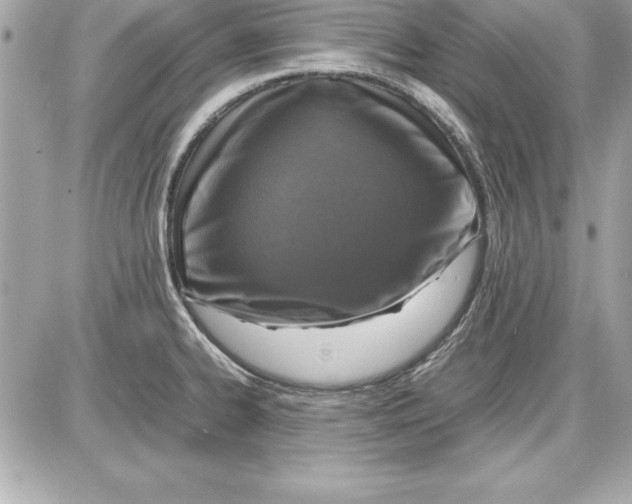X0000087421334200705111906