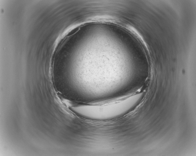 X0000087421336200705111907