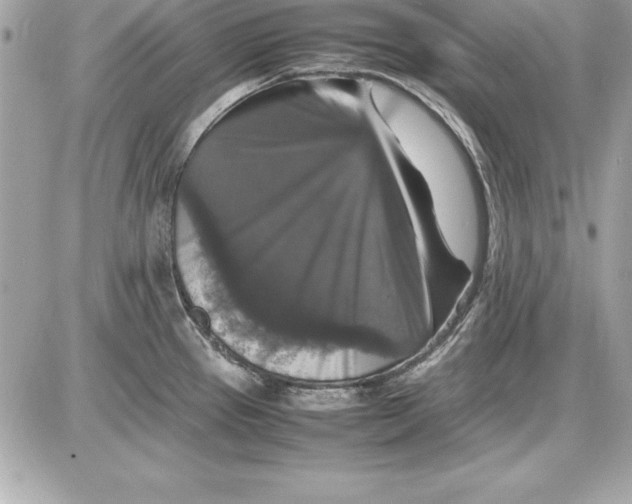 X0000087421337200705111907