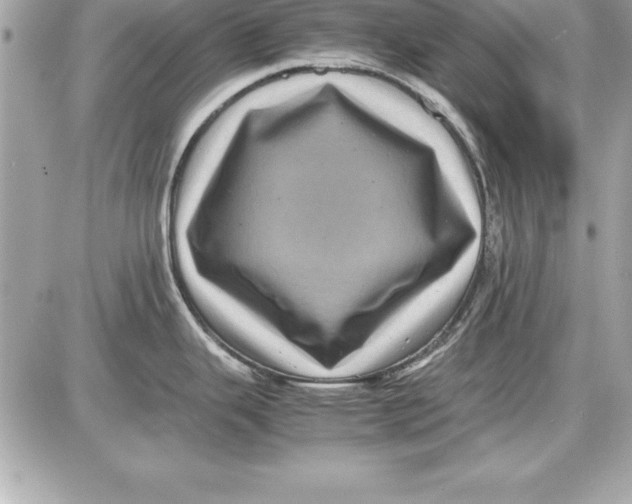 X0000087421343200705111907