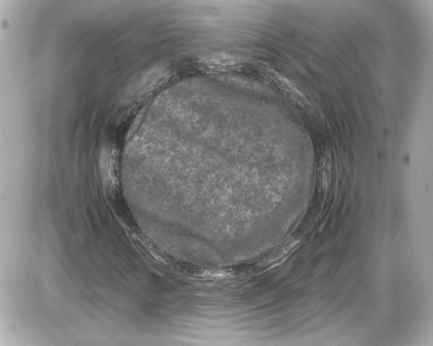 X0000087421346200705111906