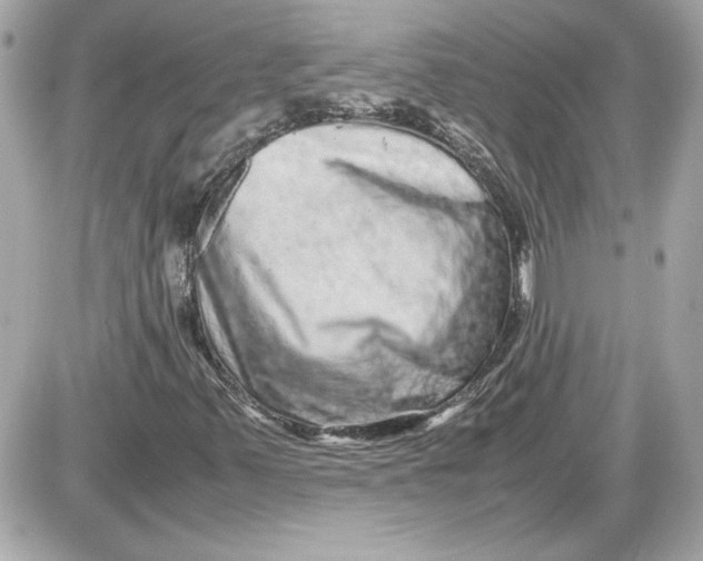 X0000087421347200705111906