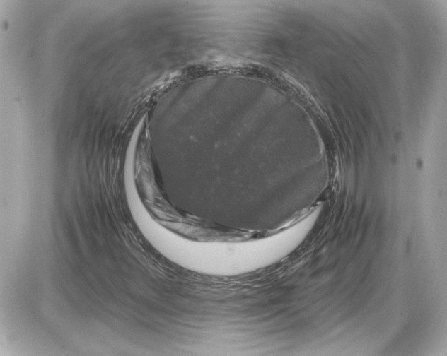 X0000087421348200705111906