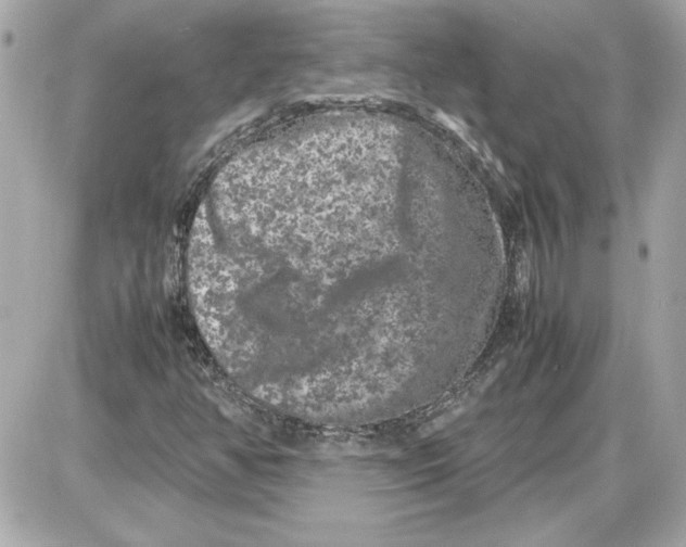 X0000087421350200705111906
