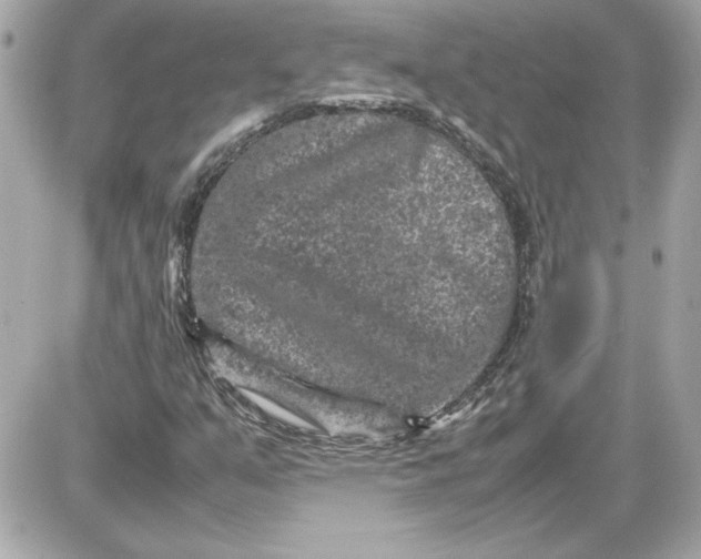 X0000087421351200705111906