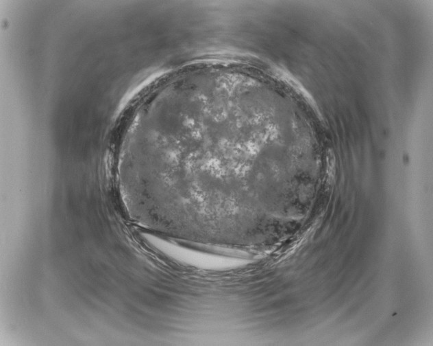 X0000087421352200705111906
