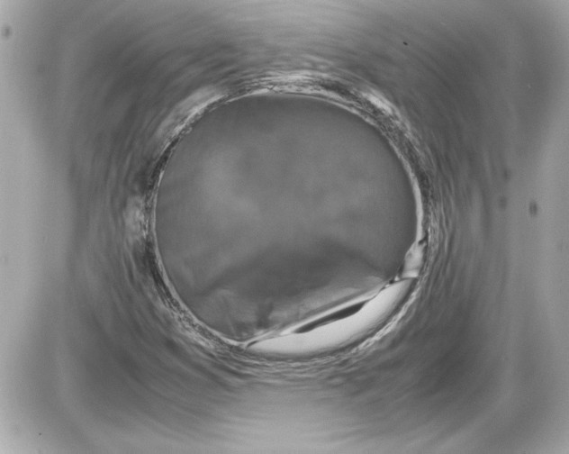 X0000087421353200705111906