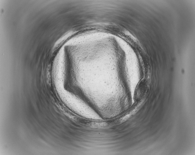 X0000087421354200705111906