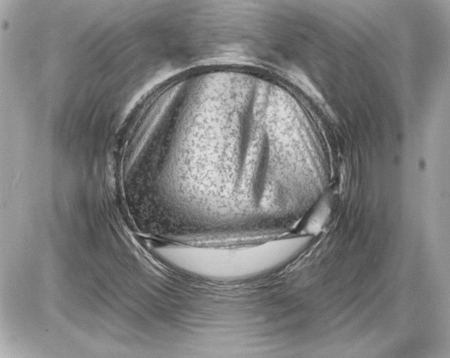 X0000087421356200705111906