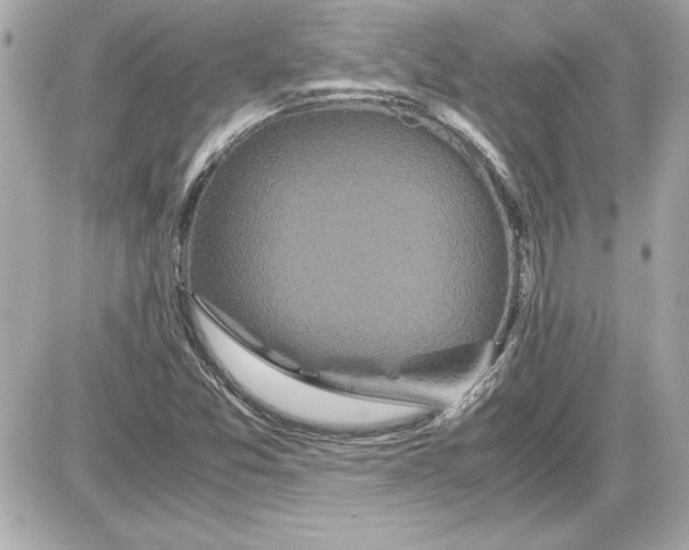 X0000087421357200705111906