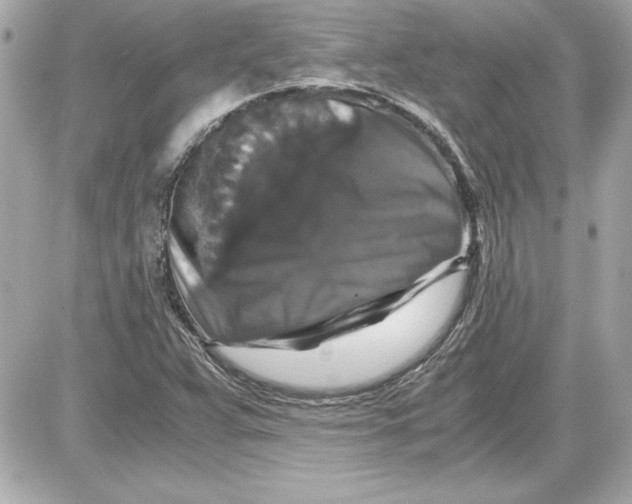 X0000087421359200705111906
