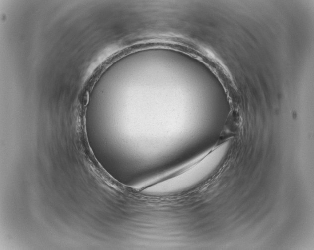 X0000087421360200705111906
