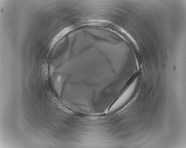 X0000087421362200705111906