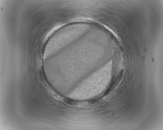 X0000087421363200705111906