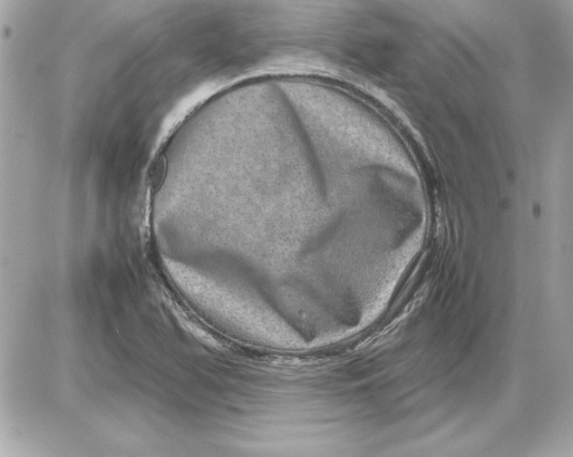 X0000087421366200705111906