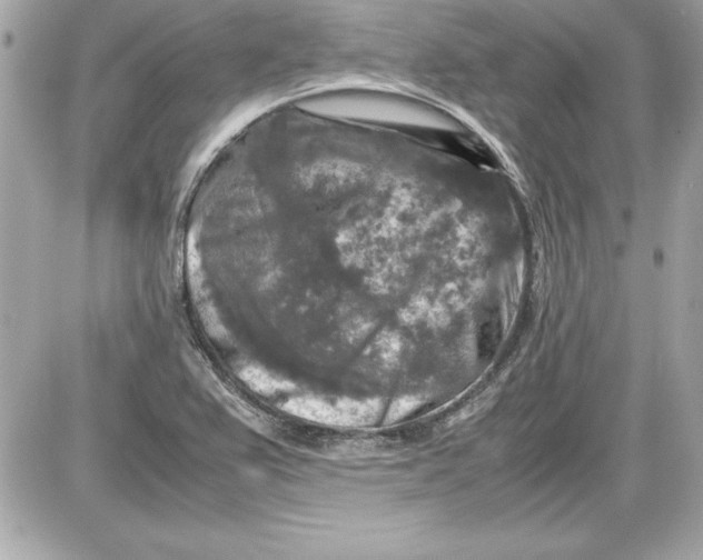X0000087421367200705111906